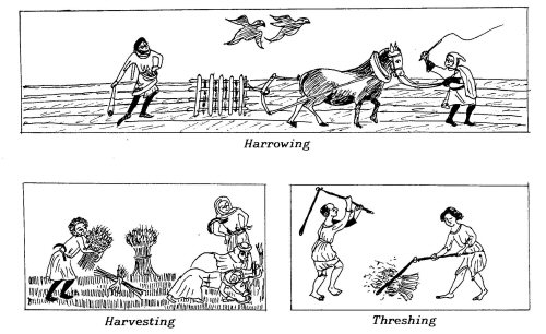 Image: Picture of Medievil Farming practices